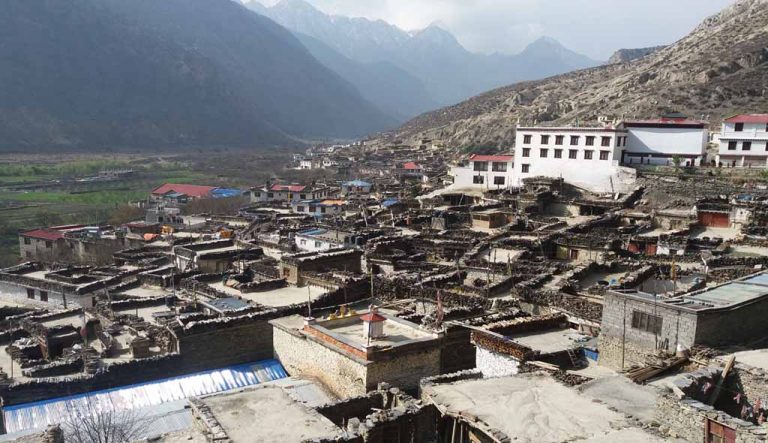 Marpha mustang 768x443