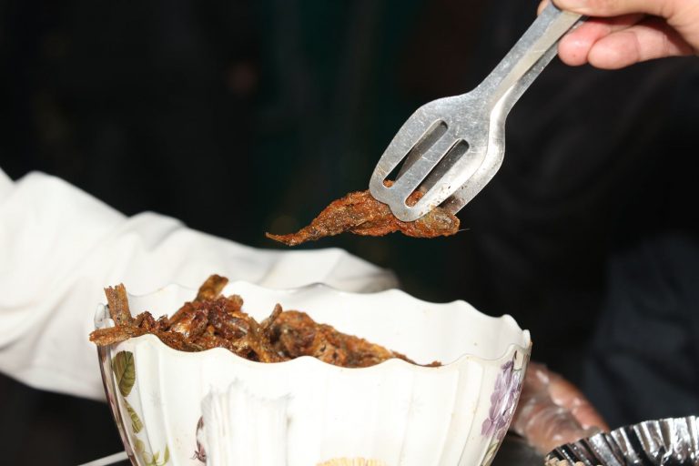 61699550 2471549699533663 5944050406257590272 n 768x512