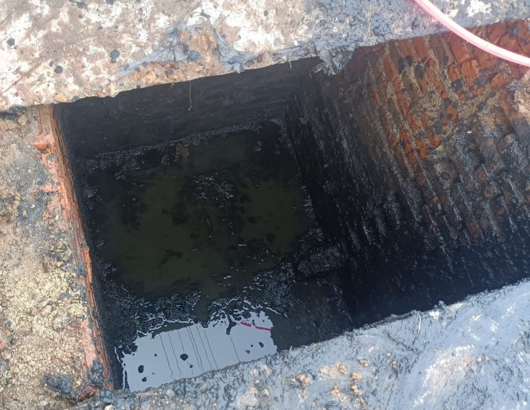 318017358 541781857589063 959169441069568398 n 1 768x595