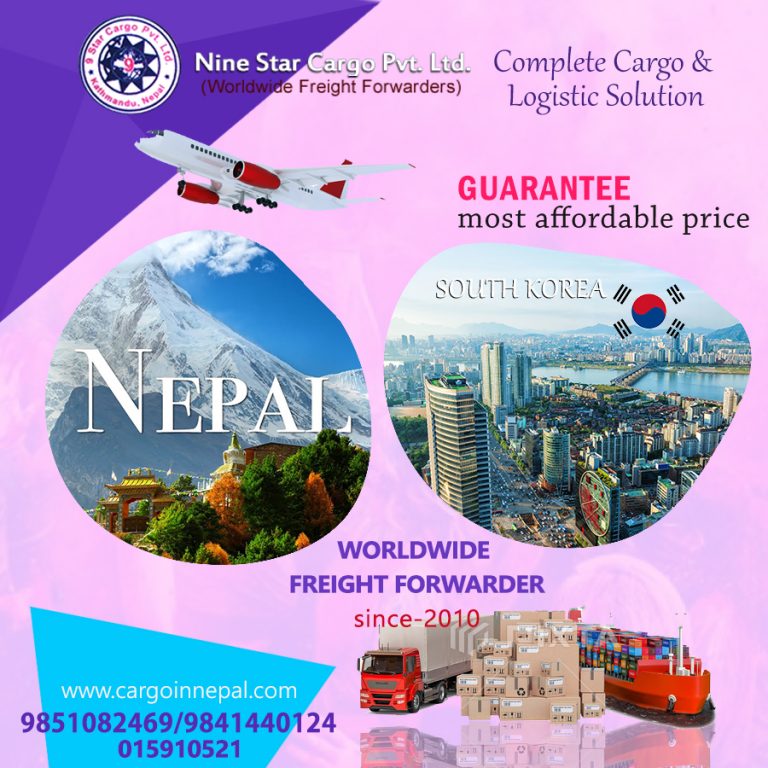 310911041 794956231475806 7338000760464247966 n 1 768x768